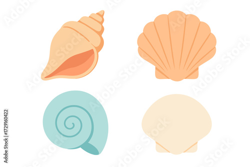 Vibrant collection of various colorful seashells and conch shells from the ocean floor and sandy beach environment