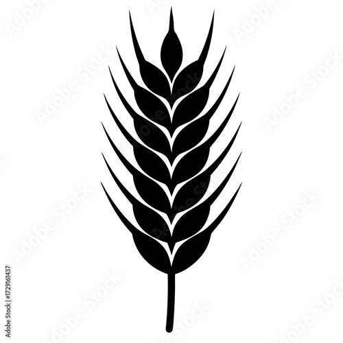 barley  ears one silhouette  black vector icon st.eps