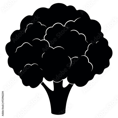 cauliflower silhouette vector on white background.eps