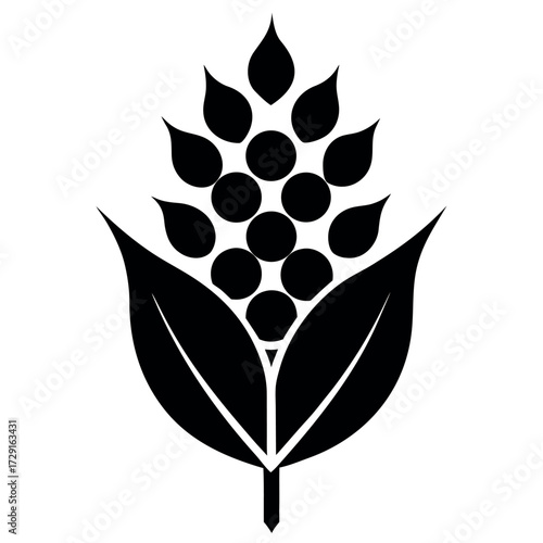 green gram silhouette vector on white background.eps