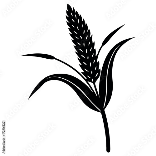 millet ears one.eps