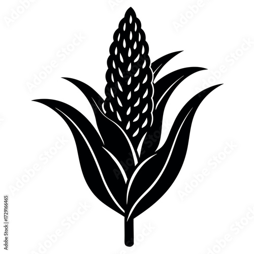 sorghum ears one.eps