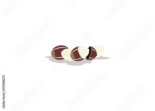 Tasty seed pods with delicious fillings