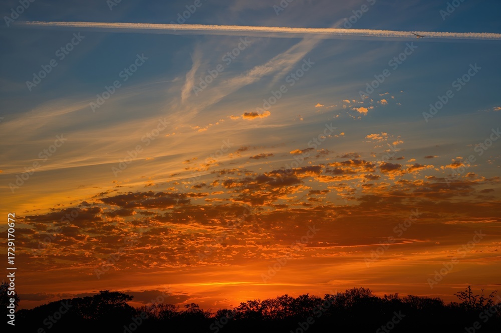 Fototapeta premium A colorful evening sky filled with glowing clouds and a clear airplane trail, featuring dark tree outlines on the distant horizon.