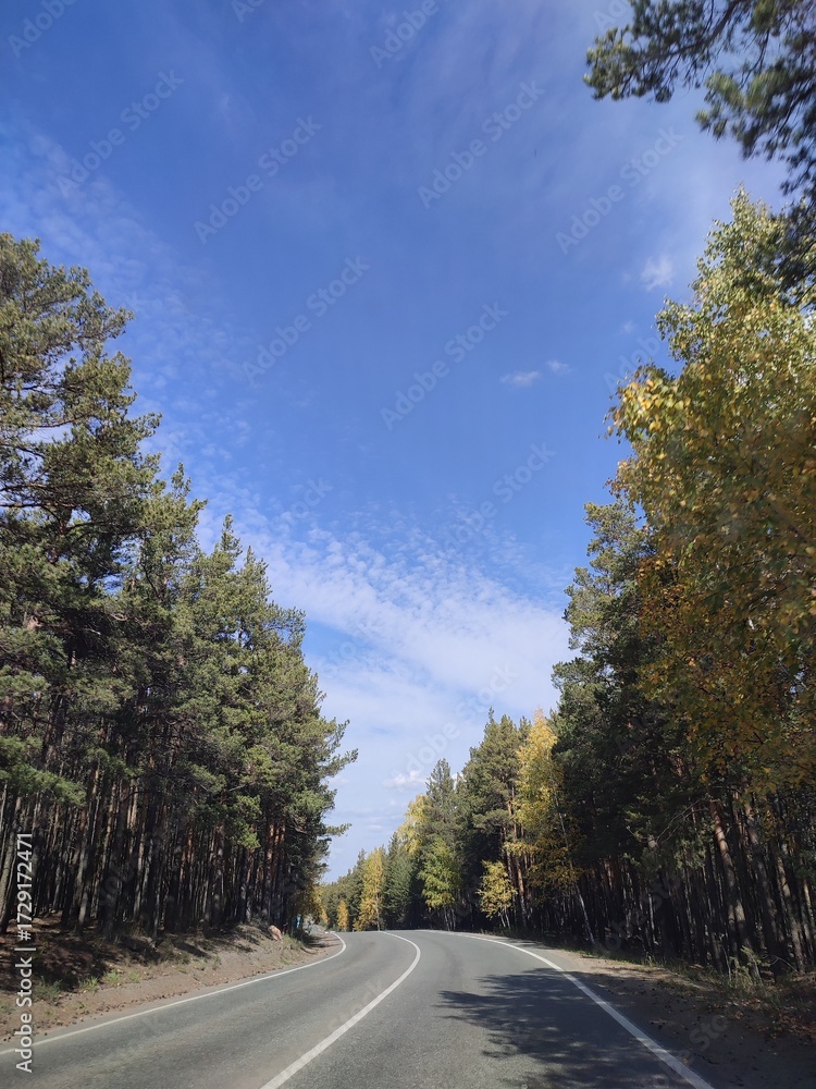 Naklejka premium road in autumn
