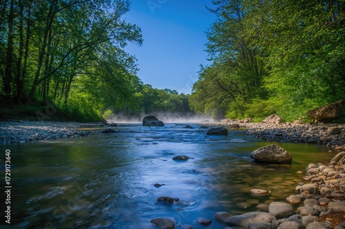 A tranquil stream winding through stones and lush foliage on a peaceful afternoon