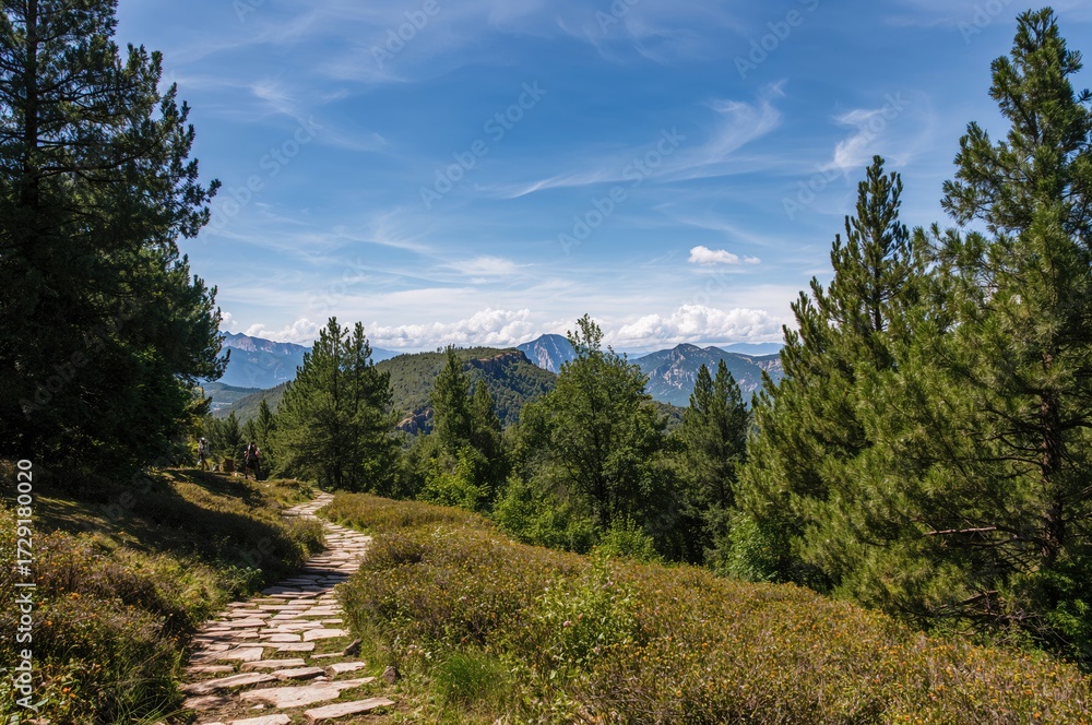 Obraz premium A trekking path through the Vermio mountain range.