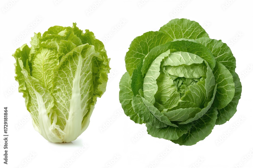 Fototapeta premium Infant Cos lettuce leaves separated on a white backdrop, Fresh green Napa cabbage leaves cut out on white