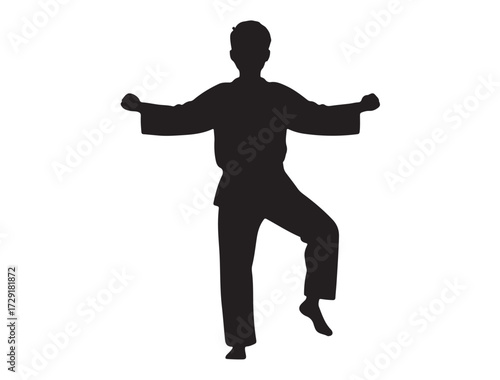Taekwondo national game in silhouette