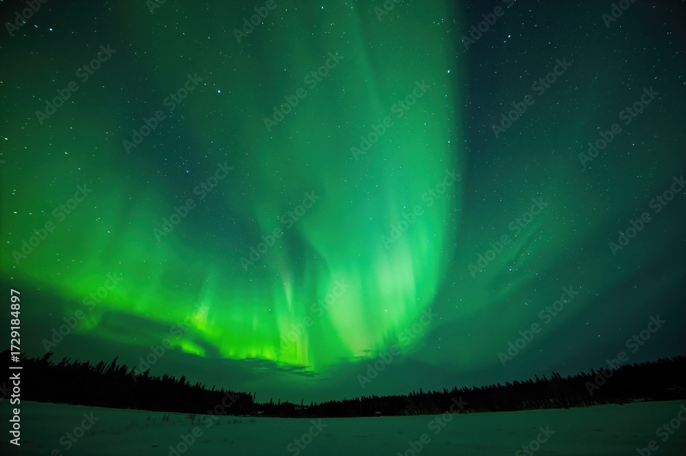 Fototapeta premium Winter spectacle of the shimmering northern skies