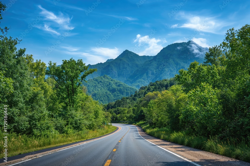 Naklejka premium Mountain landscape featuring an asphalt road surrounded by lush green forest.