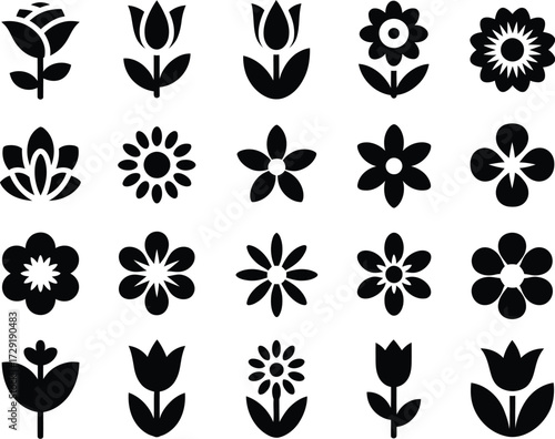 Detailed botanical illustrations of flowers, diverse collection of vector icons capturing the essence of nature