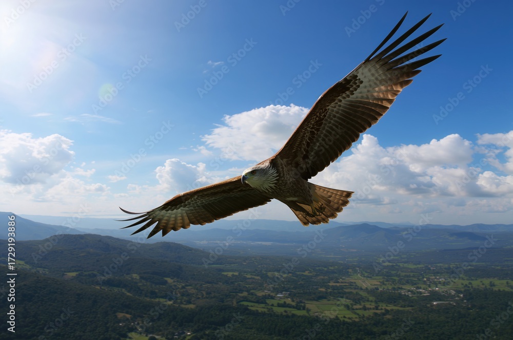 Fototapeta premium A majestic eagle flying high over the terrain