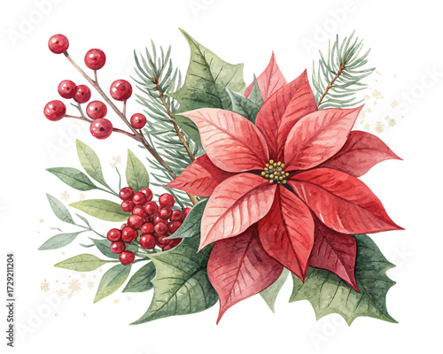 Watercolor Winter Poinsettia Christmas Flower with Red Berries Isolated on White background