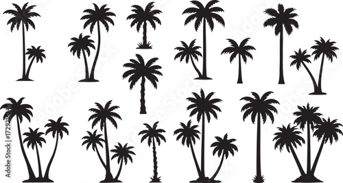 PrintPalm tree silhouette set, tropical vector icons, black botanical design, exotic frond shapes, nature illustration, island vibe graphics