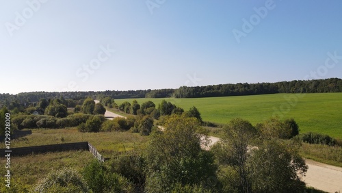 A beautiful summer landscape of a country road along the forest