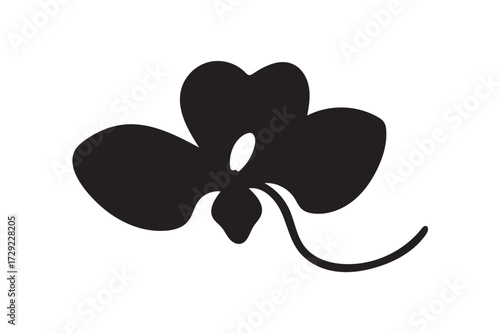 orchid