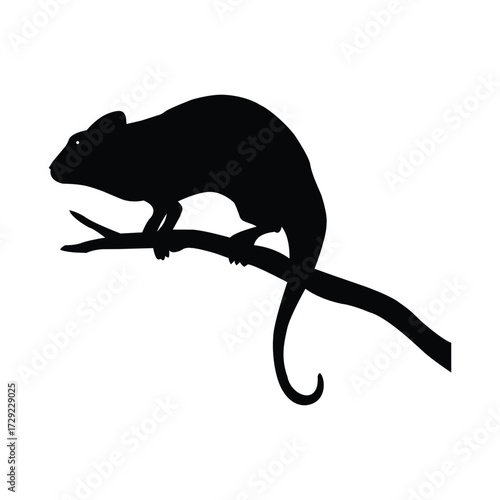 Silhouette of a chameleon perched on a branch, isolated on white background, showcasing its unique camouflage abilities