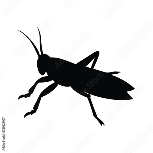 Silhouette of a grasshopper, isolated on white background, capturing its distinctive features and jumping prowess in nature