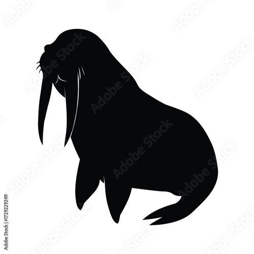 Silhouette of a walrus isolated on white background, a large marine mammal with prominent tusks and a distinctive mustache