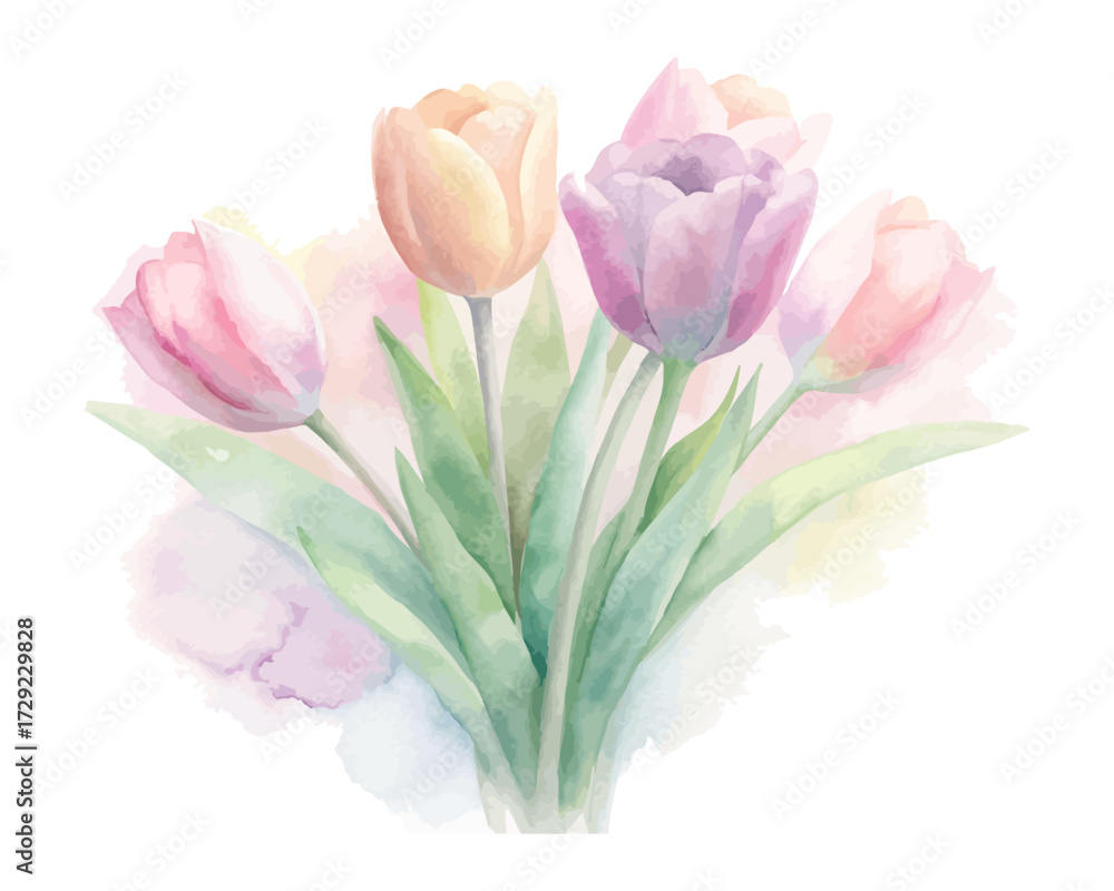 Fototapeta premium Watercolor Tulip Bouquet in Soft Pastel Colors vector illustration