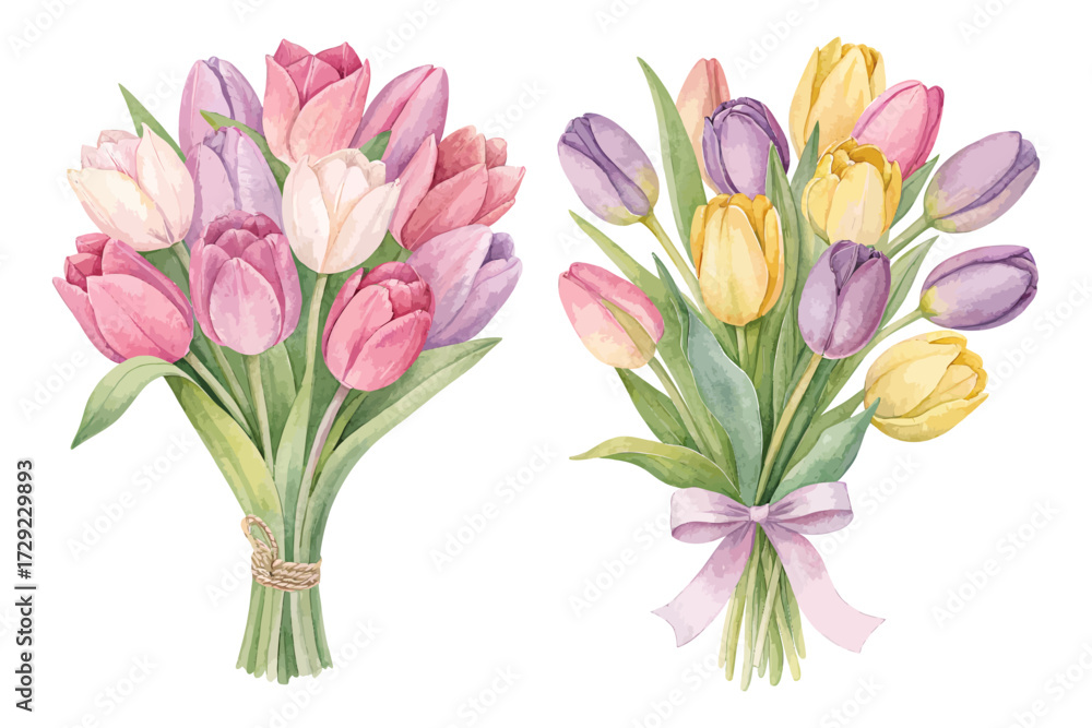 Fototapeta premium Watercolor Tulip Bouquet in Soft Pastel Colors vector illustration