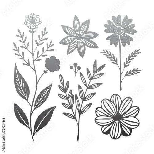 Botanical Line Art Floral Illustration