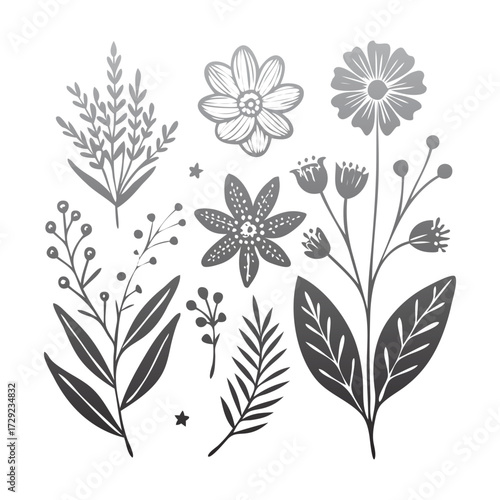 Botanical Line Art Floral Illustration