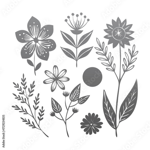 Botanical Line Art Floral Illustration