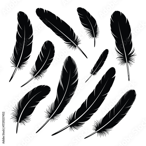 Collection of black feathers detailed textures isolated on white for design projects silhouette