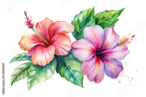 Watercolor Tropical Hibiscus Flower with Green Leaves 