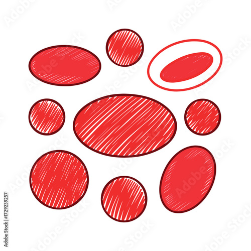Draw red blood cells in a sketch style with bold red shading and white background.