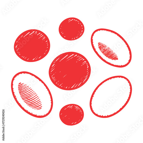 Draw red blood cells in a sketch style with bold red shading and white background.