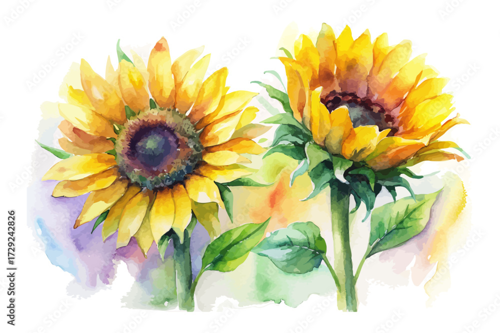 Naklejka premium Watercolor Summer Sunflower Bouquet Hand Painted 