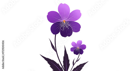 Two beautiful purple violet flowers illustration with dark stems and leaves on a clean white background. Elegant floral vector art.
