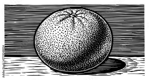 Orange Citrus Fruit Illustration in a Vintage Linocut Style