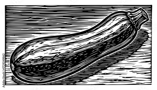 Zucchini Vegetable in a Vintage Woodcut Style
