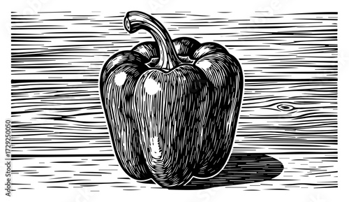 Bell Pepper Vegetable in a Vintage Woodcut Style