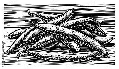 Green Beans Illustration in a Vintage Linocut Style
