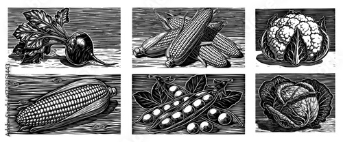 Vegetable Collection in a Vintage Woodcut Style