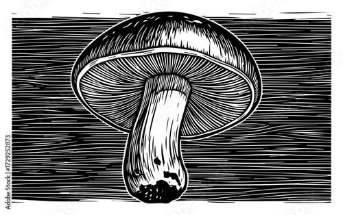 Boletus Mushroom in a Vintage Woodcut Style