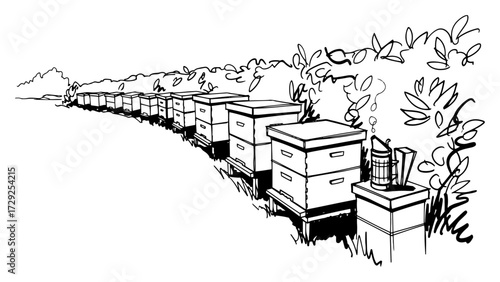 Row of Beehives in an Apiary Sketch Illustration