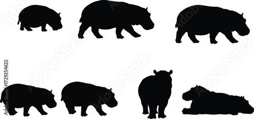 Black and white flying squirrel silhouettes, various poses vector, forest wildlife animals, nocturnal rodents, gliding mammals, tree climbing vector illustrations