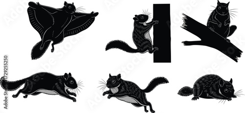 Black silhouette flying squirrels set, forest animal illustrations, nocturnal rodent vector art, tree climbers, jumping, gliding wildlife poses