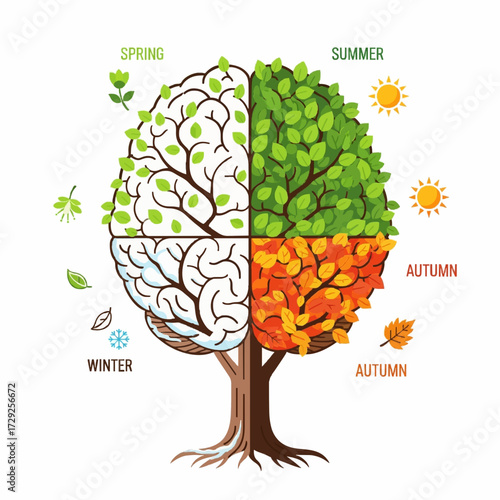 Creative vector art of a brain-shaped tree representing the four seasons, symbolizing the cycle of life, growth, and thought