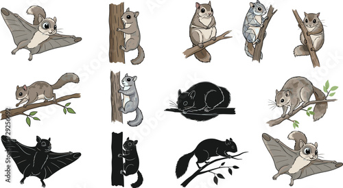 Cute flying squirrels cartoon set, vector forest animals illustrations, tree climbing, gliding poses, isolated wildlife characters for kids and nature themes
