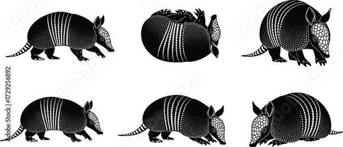 Cute flying squirrels vector set, cartoon forest animals, tree climbing and gliding wildlife illustrations, adorable rodents, nature characters, kids friendly art