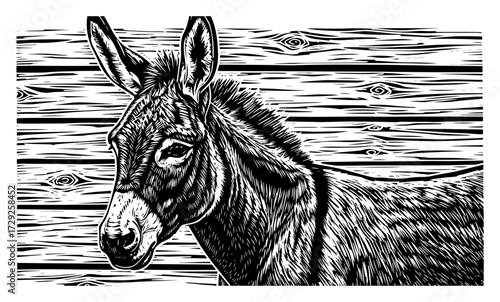 Donkey Portrait in a Vintage Woodcut Style