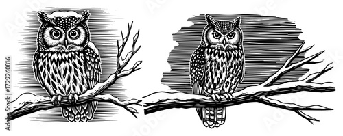 Two Owls on a Snowy Branch in a Vintage Woodcut Style