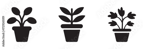Potted Plant icon, black and white potted plant silhouette, simple potted plant, pictogram for web, vector illustration EPS 10.